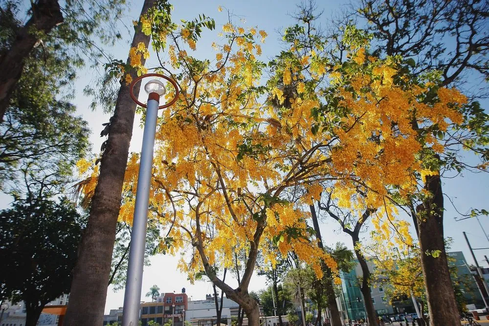La Revolución Park (Red Park) 2