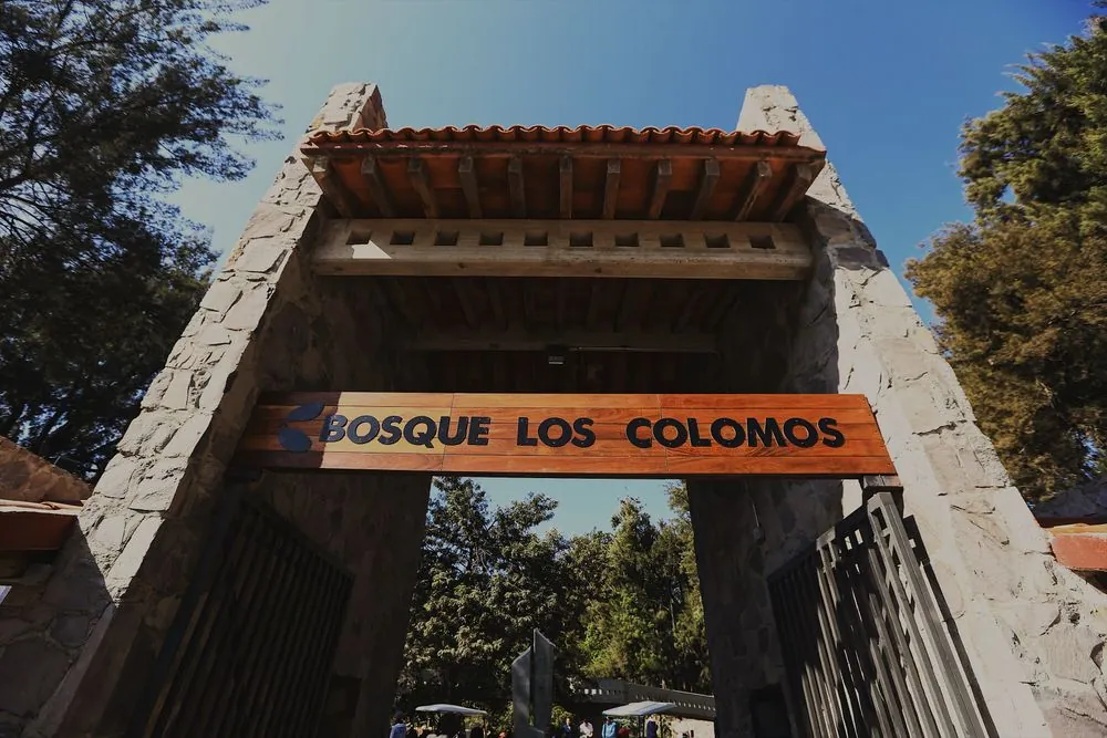 Bosque Los Colomos / Bosque Pedagógico Del Agua