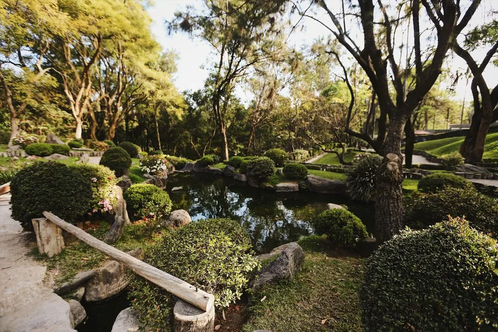 Bosque Los Colomos / Bosque Pedagógico Del Agua 4