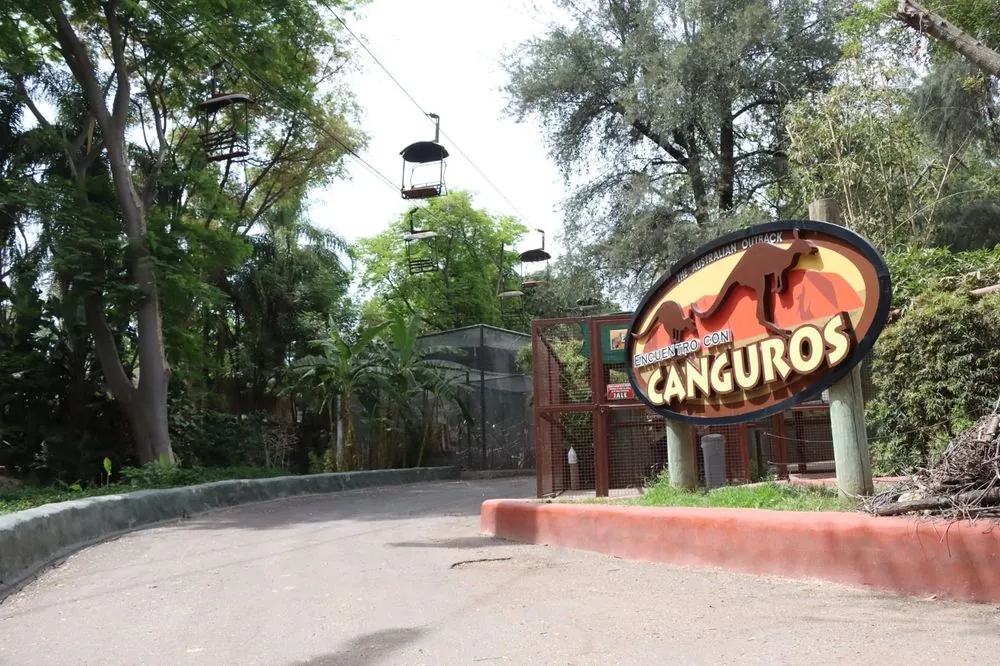 Zoológico Guadalajara 2