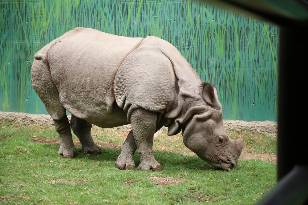 Zoológico Guadalajara 3