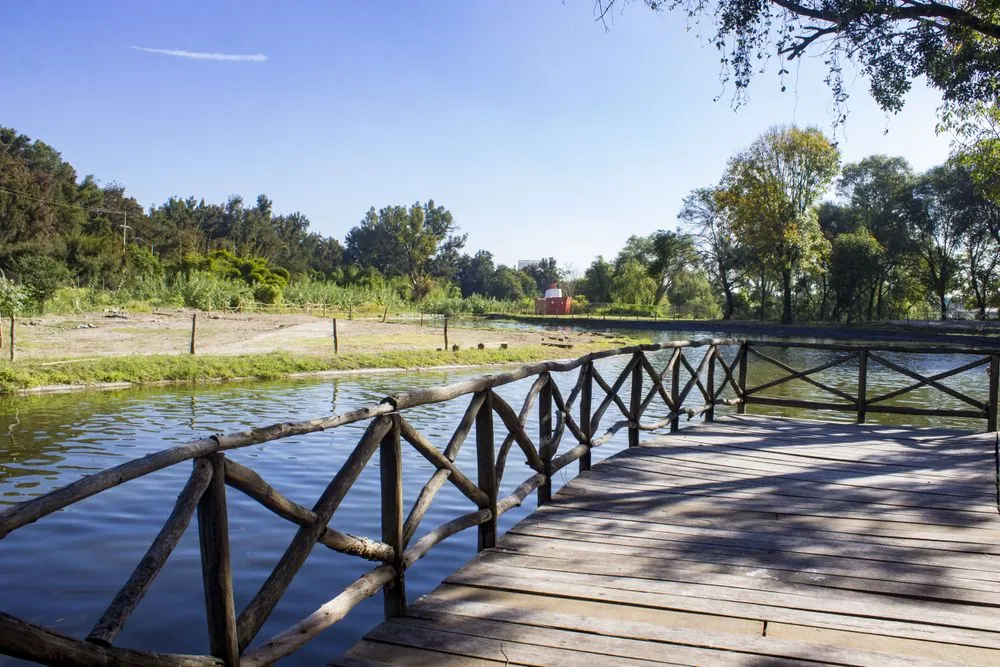 Parque  Ávila Camacho 3
