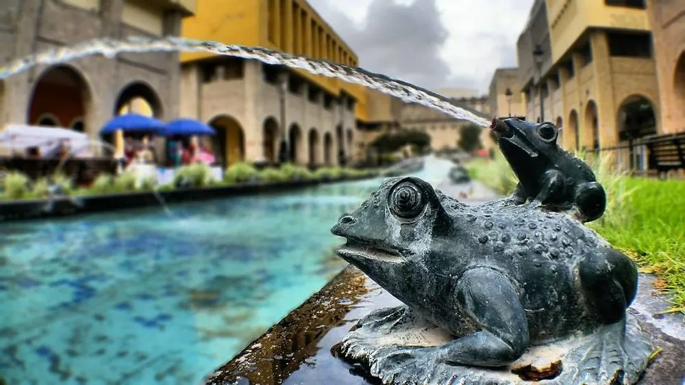Paseo Degollado 2