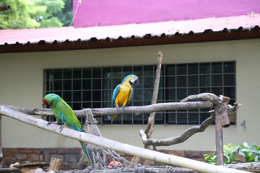 Parque  Agua Azul 1