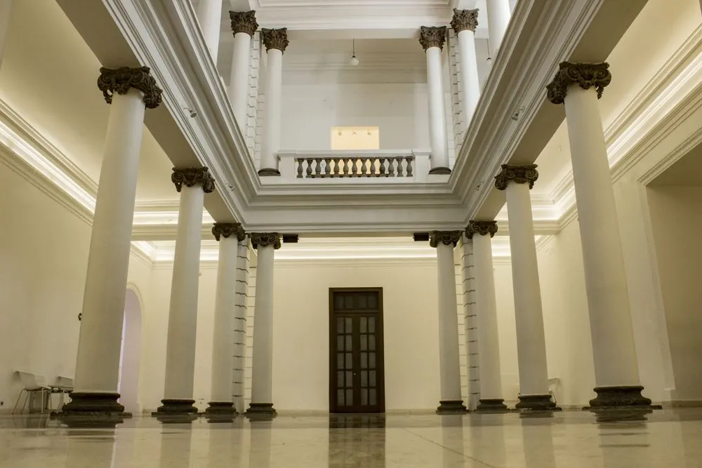 Musa (Museo De Las Artes ) 3