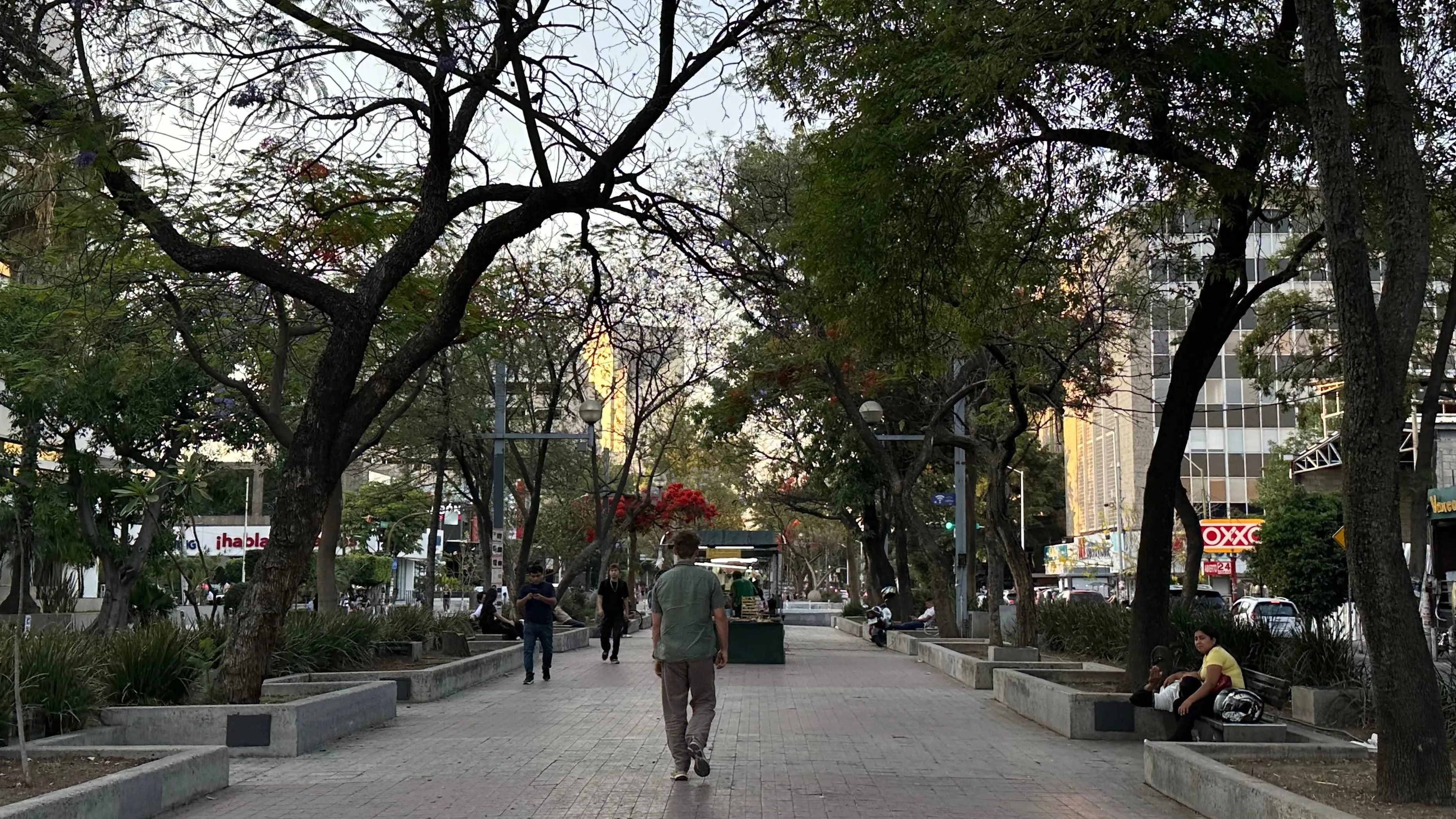 Andador Chapultepec
