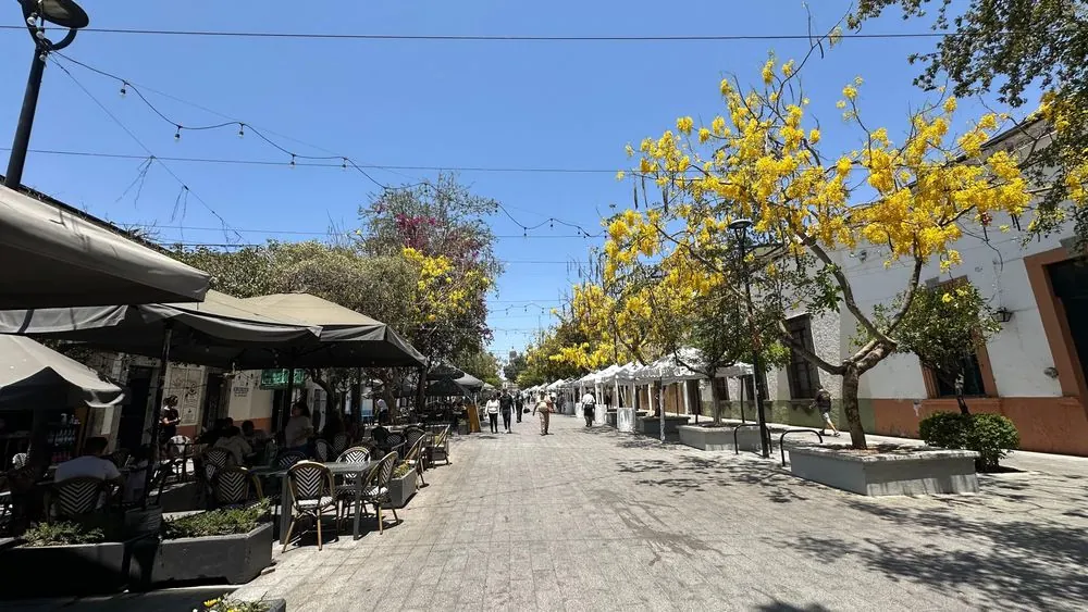 Zapopan Centro 1