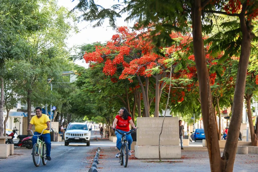 Paseo Fray Antonio Alcalde 1