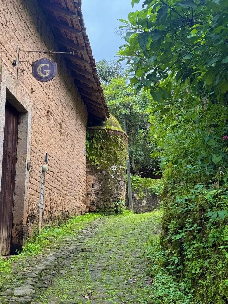 El Gariton 1