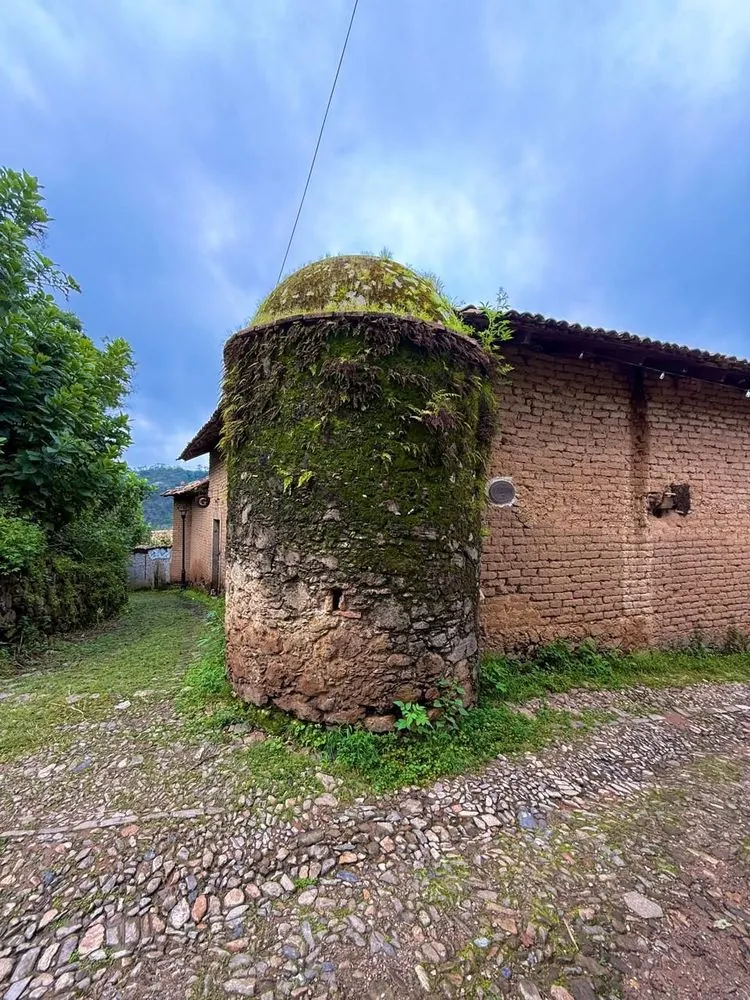 El Gariton 2