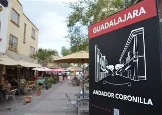 Andador Coronilla 1