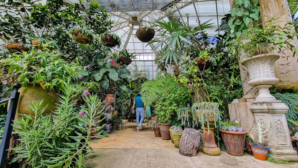 Jardín Botánico de Puerto Vallarta 2