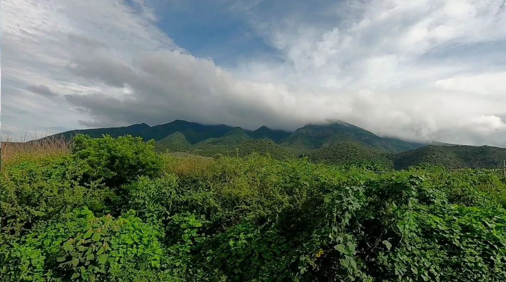 Cerro Viejo 4