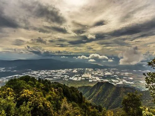 Cerro Viejo