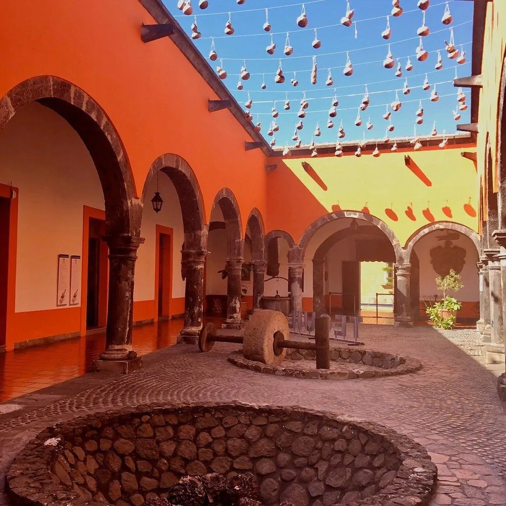Museo Nacional del Tequila (MUNAT) 4