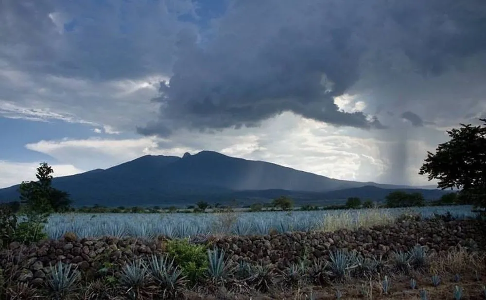 Volcán de Tequila