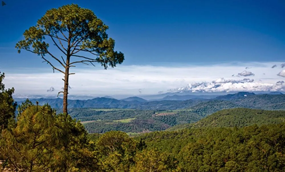 Sierra del Tigre 1
