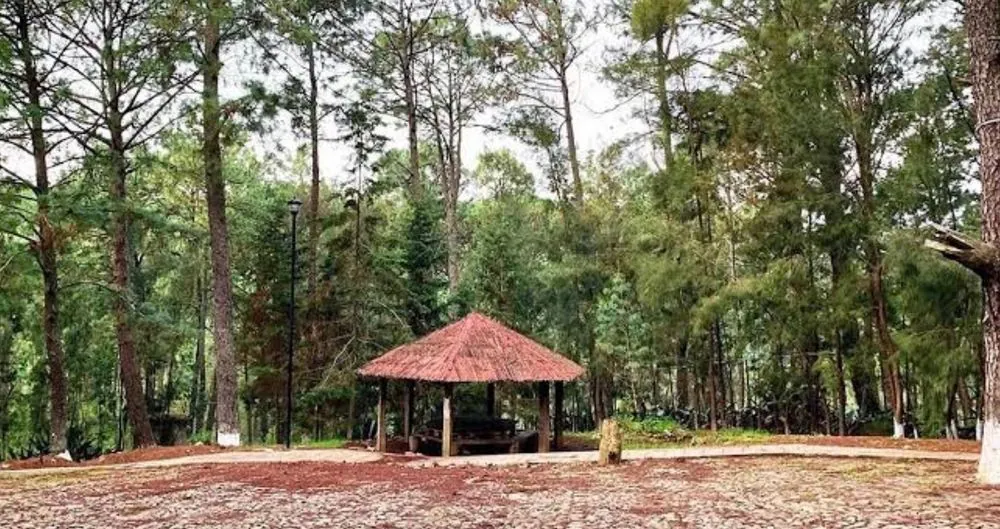 Parque Municipal La Zanja