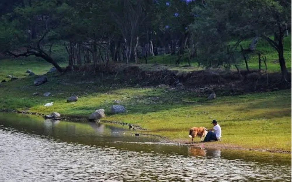 Presa de Cocula