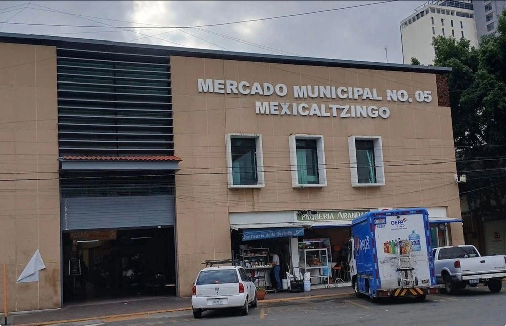 Mexicaltzingo market