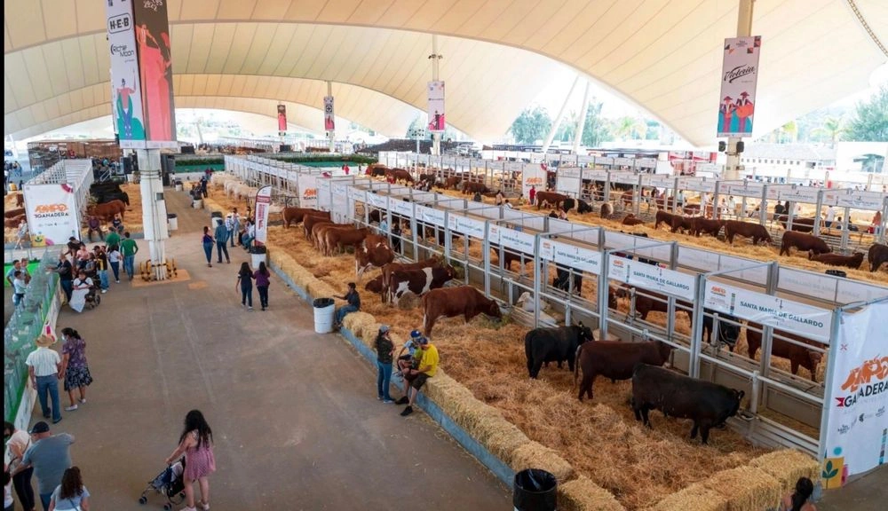 Expo Livestock Jalisco