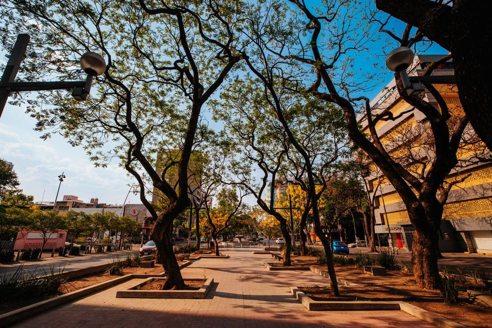 Chapultepec Walkway 5