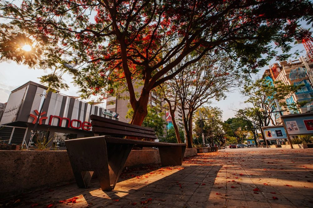 Chapultepec Walkway 2