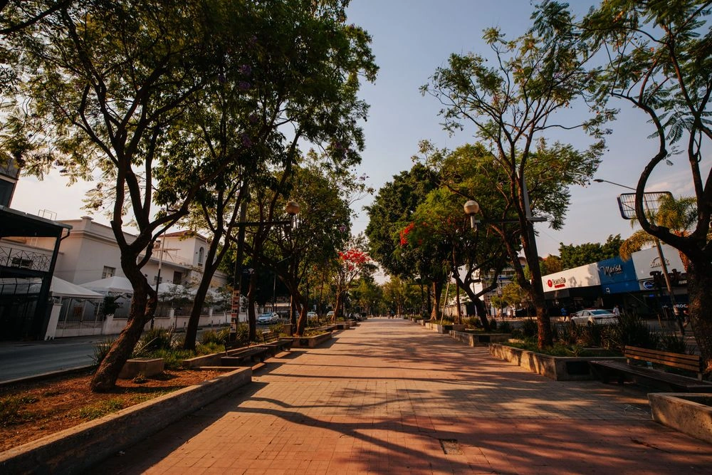 Chapultepec Walkway 1