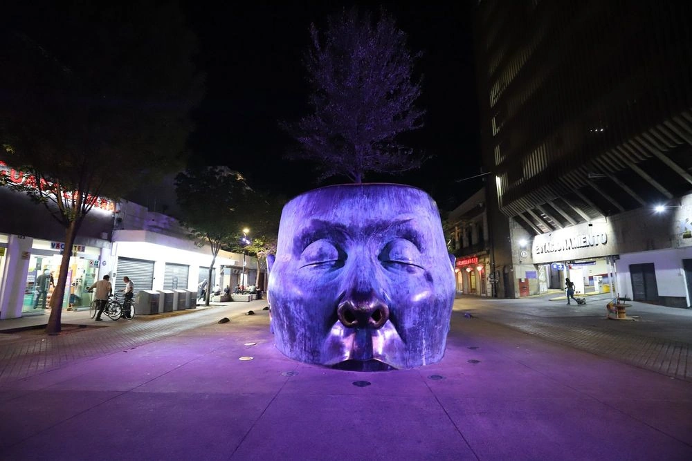 Árbol Adentro